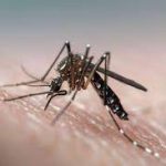 കനേഡിയന്മാർക്ക് അമേരിക്കയിലേക്കുള്ള യാത്ര ഇനി ചിലവേറും; നെക്‌സസ് പാസ് ഫീസ് ഇരട്ടിയിലധികം വര്‍ധിക്കും