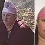 ടൊറൻ്റോ, ജിടിഎ; ഇന്ധന വില ഇന്ന് ഉയരും