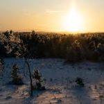 ഇന്ത്യൻ നിർമിത ഐഫോൺ 16 പ്രോ, പ്രോ മാക്സ് വിപണിയിലേക്ക്