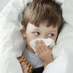 37 തരം ബ്രെഡ്ഡുകൾ തിരിച്ചുവിളിച്ച് കനേഡിയൻ ഫുഡ് ഇൻസ്പെക്ഷൻ ഏജൻസി