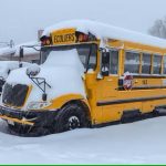 സാൽമൊണല്ല; കാനഡയിലുടനീളം ക്യൂകംമ്പർ തിരിച്ചുവിളിച്ച് CFIA