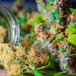 കാനഡയിൽ വിദേശ രാജ്യങ്ങളിൽ നിന്നുള്ളവർക്കുള്ള ഫ്ലാഗ്പോളിംഗ് നിരോധനം നിലവിൽ വന്നു