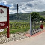 തിരുപ്പതി ക്ഷേത്രത്തിൽ തിക്കിലും തിരക്കിലുംപെട്ട് നാല് മരണം; നിരവധി പേർക്ക് പരിക്ക്