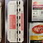 കാനഡ ചൈൽഡ് ബെനിഫിറ്റ് വിതരണം ഇന്ന്